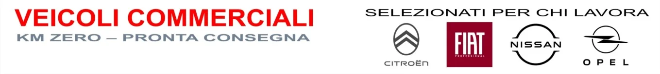 Veicoli commerciali - km zero